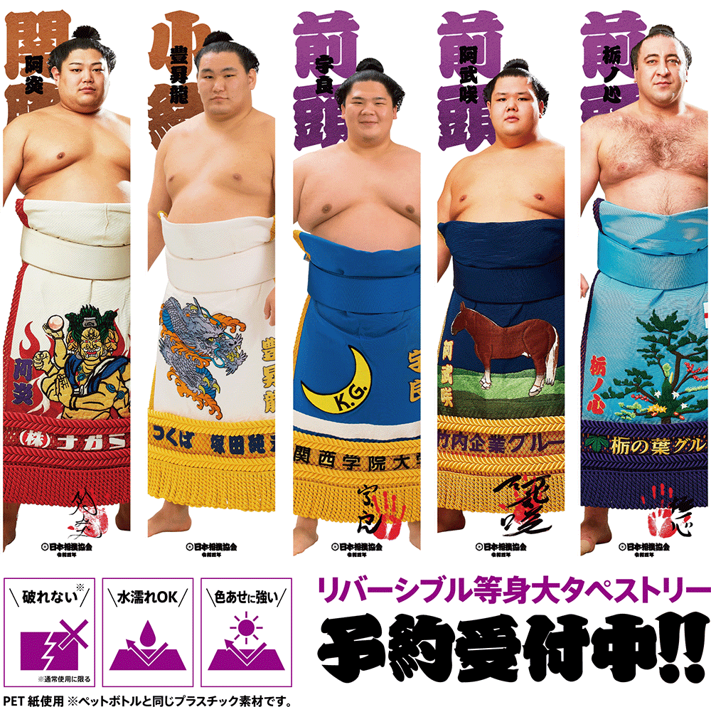 リバーシブル等身大タペストリー - 日本相撲協会公式サイト