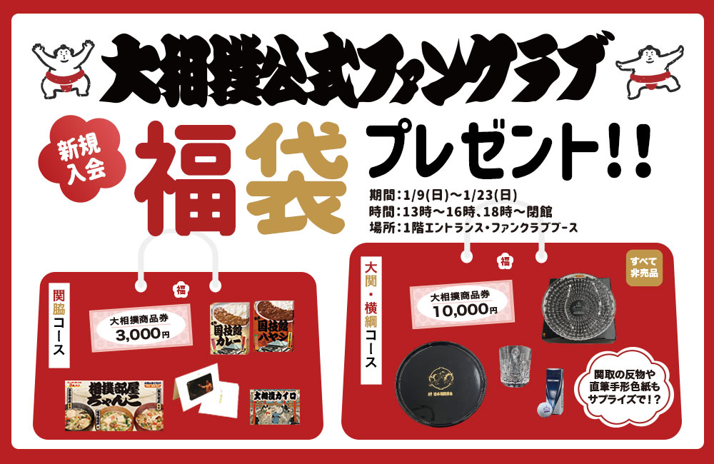 お買い得4個パック 令和三年 大相撲初場所 14日目チケット 1月17日取り下げ予定 即納木のおもちゃ 相撲 武道 Rustavi Gov Ge お買い得4個パック 令和三年 大相撲初場所 14日目チケット 1月17日取り下げ予定 即納木のおもちゃ 相撲 武道 Rustavi Gov Ge