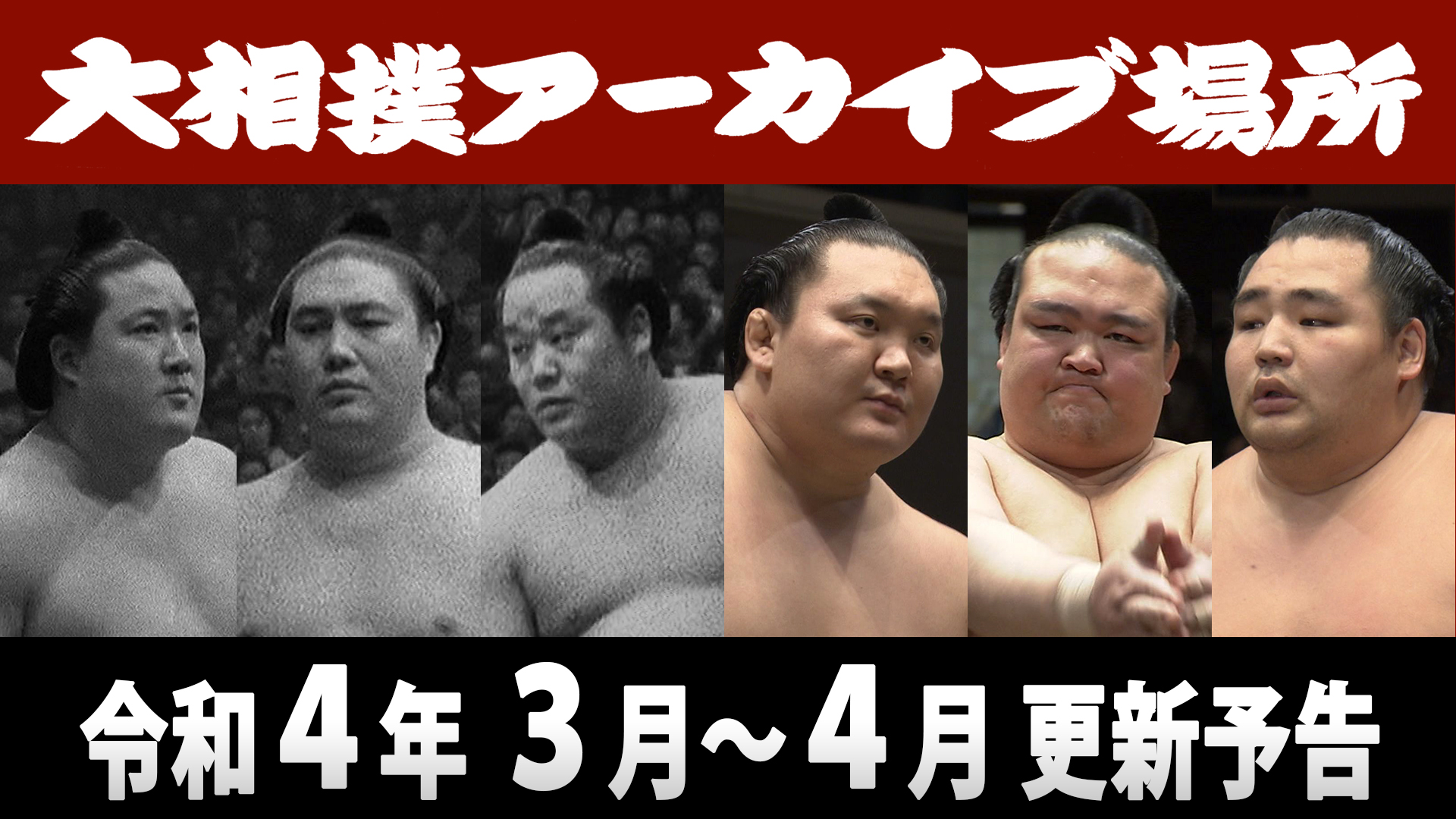 協会からのお知らせ 日本相撲協会公式サイト 協会からのお知らせ 日本相撲協会公式サイト