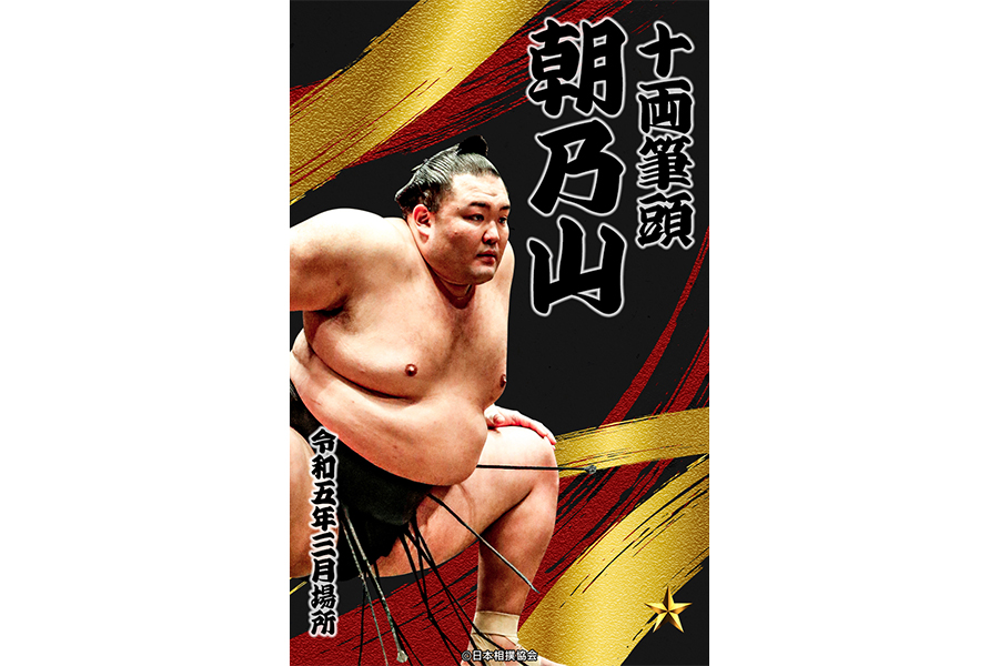 映像で見る国技大相撲全20巻コンプリートセット全冊子付 冊子 全20巻セット】映像で見る国技大相撲 – 闘道館