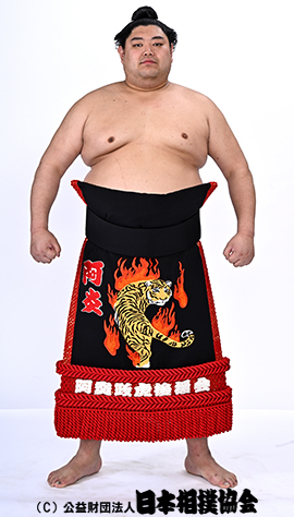阿炎 政虎 力士プロフィール 日本相撲協会公式サイト