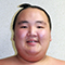 Mogamizakura