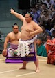 特別展 七十二代横綱稀勢の里