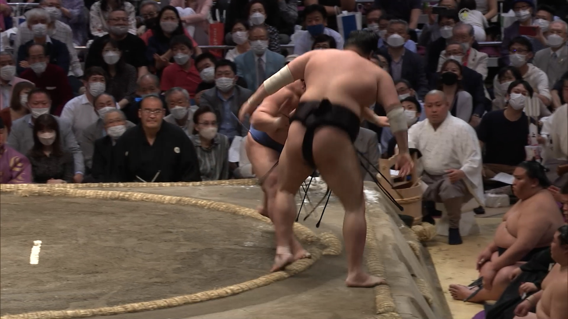 解説 - 日本相撲協会公式サイト