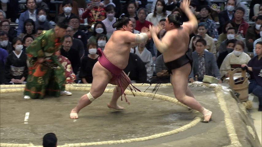好取組十五番 - 解説 - 日本相撲協会公式サイト