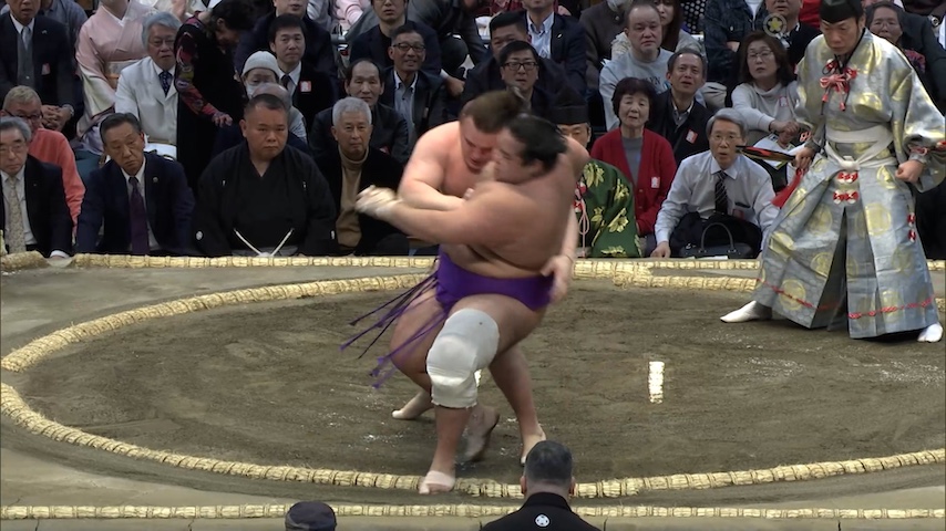 日本相撲協会 100418-19-